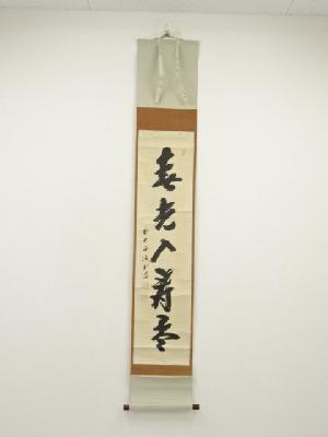前大徳　藤井誡堂筆　「春光入寿杯」一行書　肉筆紙本掛軸（共箱）